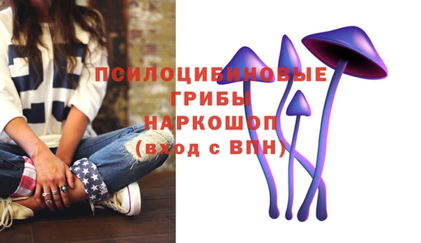 кристаллы Гусев