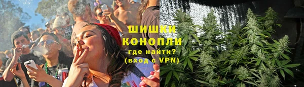 крисы Гусь-Хрустальный