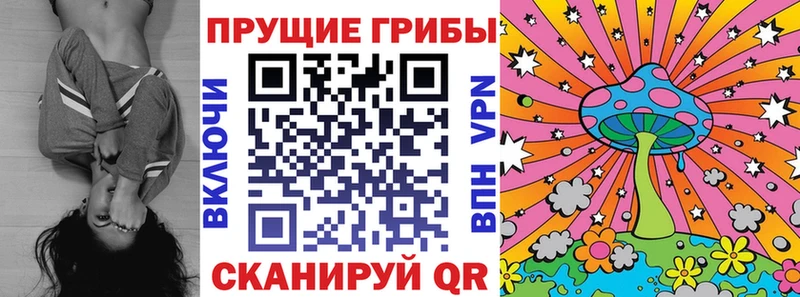 Псилоцибиновые грибы GOLDEN TEACHER  Купить закладки  Нижнеудинск 